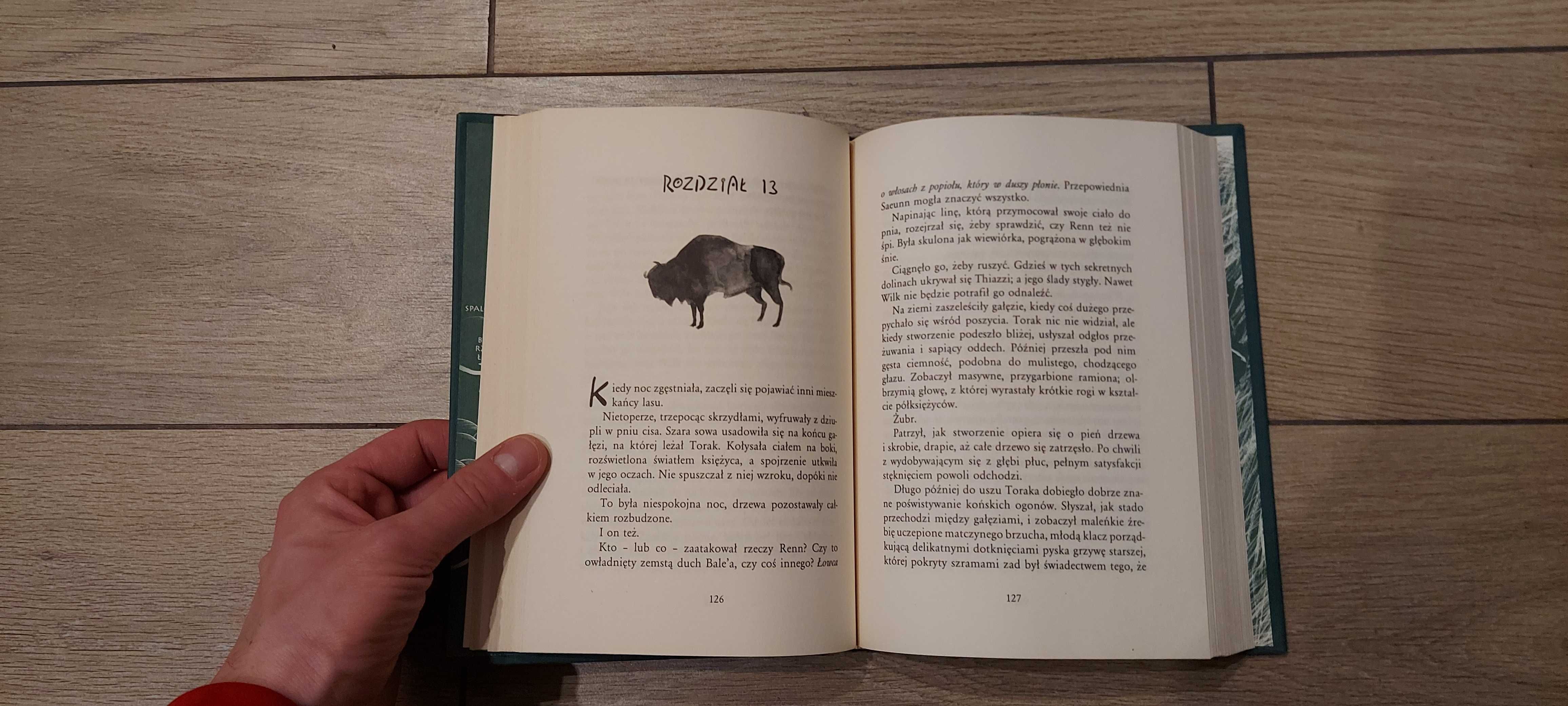 Kronika pradawnego mroku, Paver