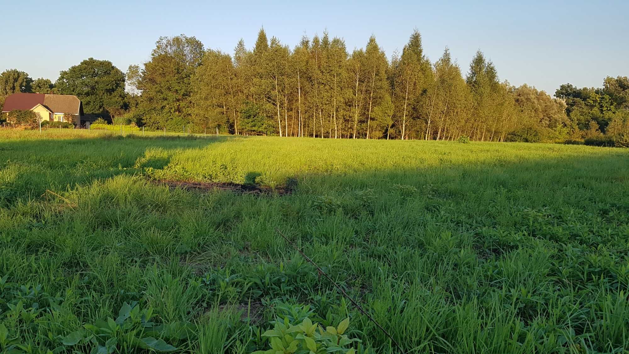 Sprzedam działkę budowlaną w Gorlicach przy drodze krajowej 28.