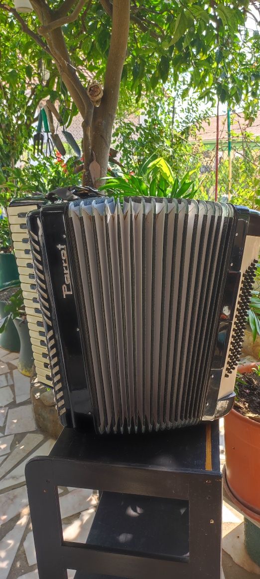 acordeon parrot 80 baixos