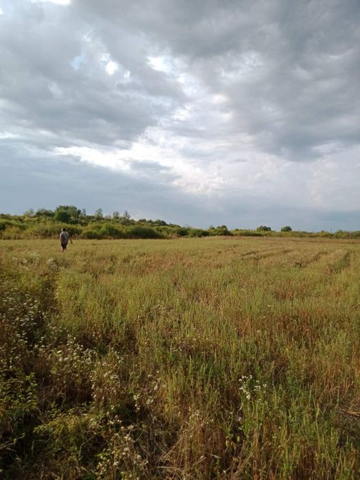 Продається земельна ділянка