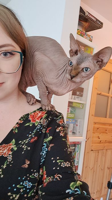 Petsitter na terenie Warszawy