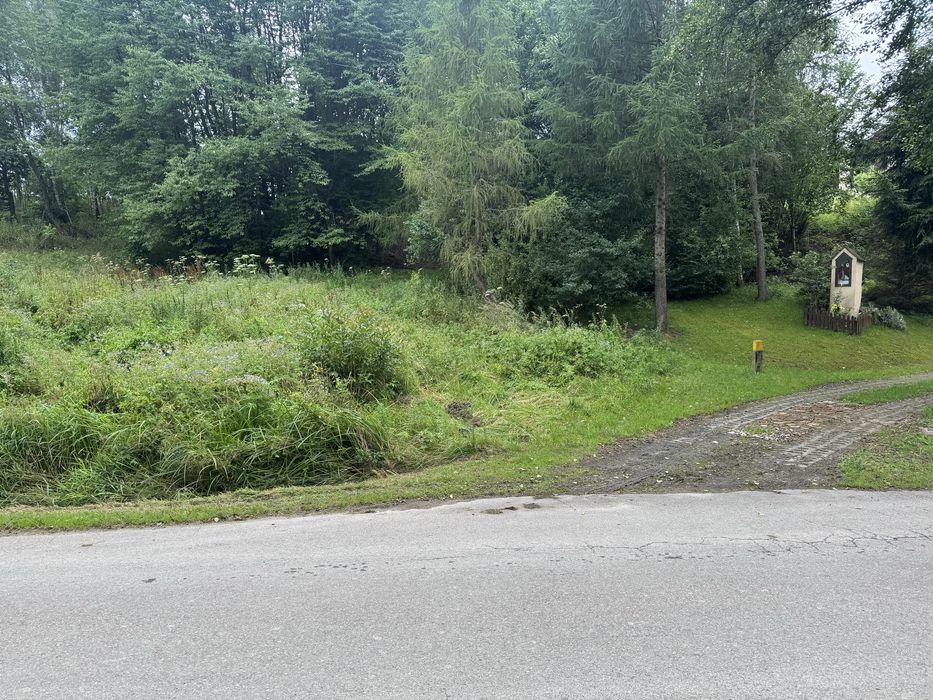 Dzialka Strzyżów Brzeżanka