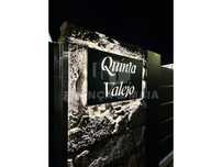 Quinta Valejo