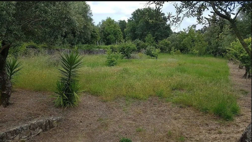 Vendo terreno (construção) murado em Friestelas - Ponte de Lima