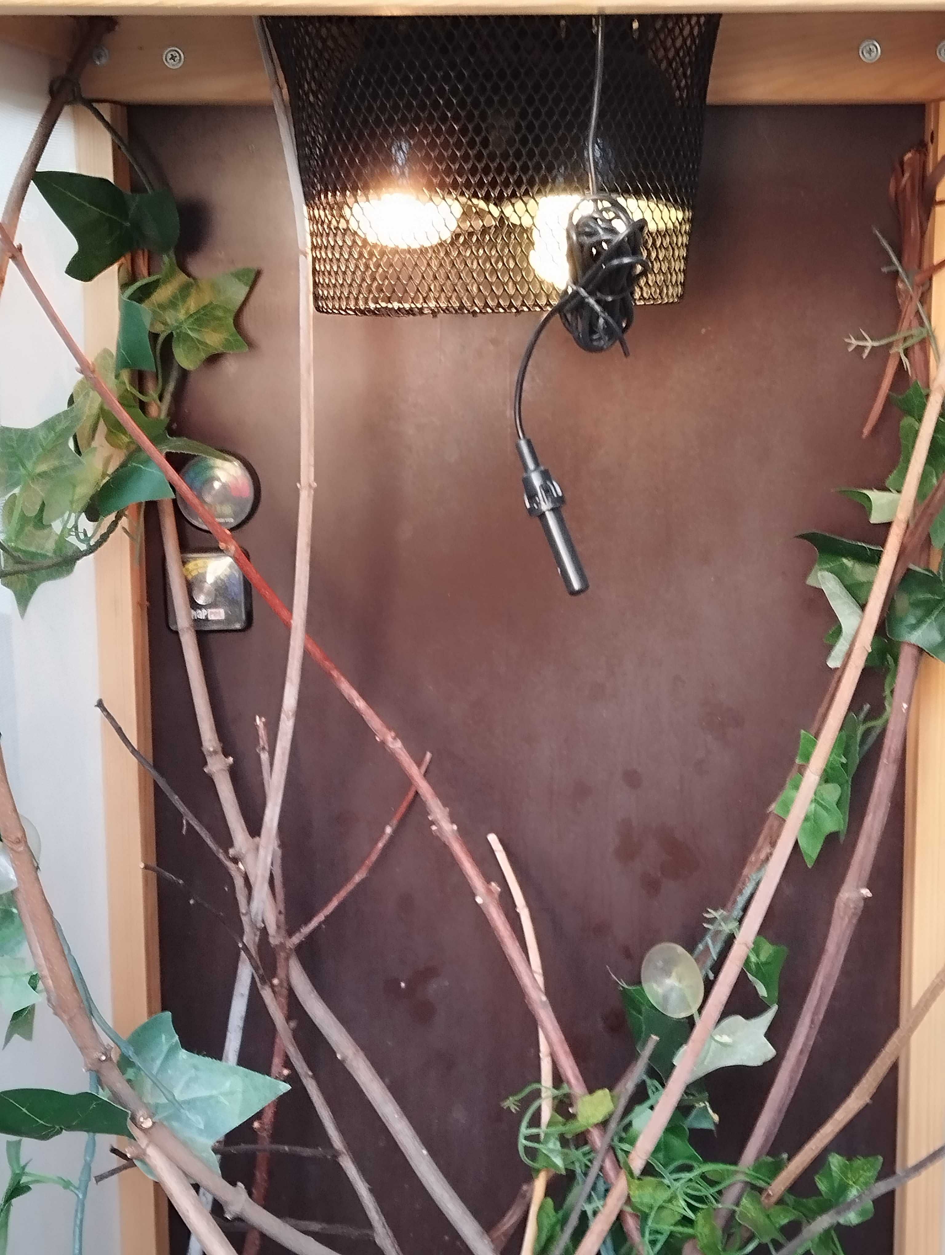 Terrarium dla kameleona/jaszczurki  - duże , wyposażone - SUPER