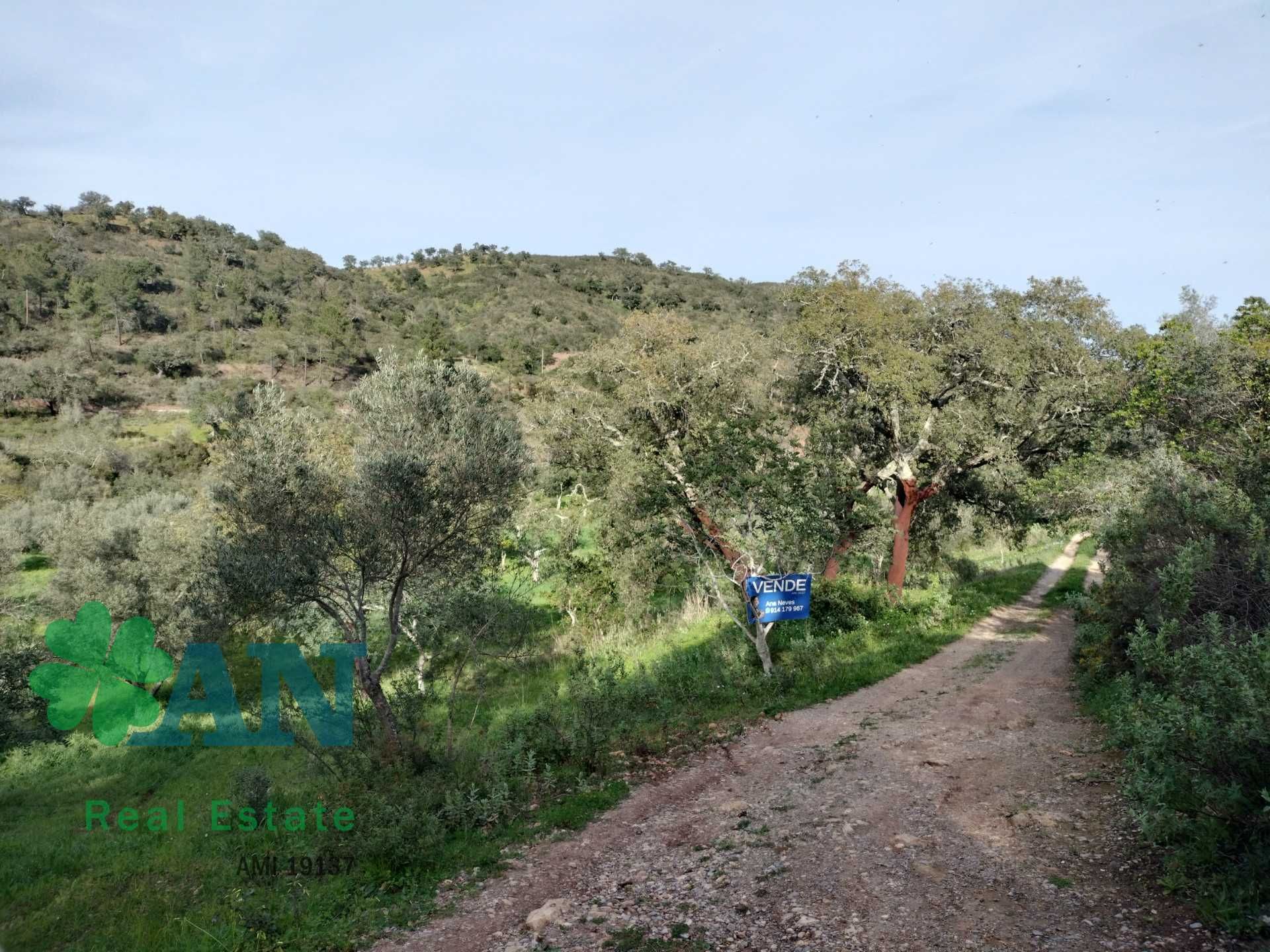 Terreno agrícola com alfarrobeiras, sobreiros e oliveiras