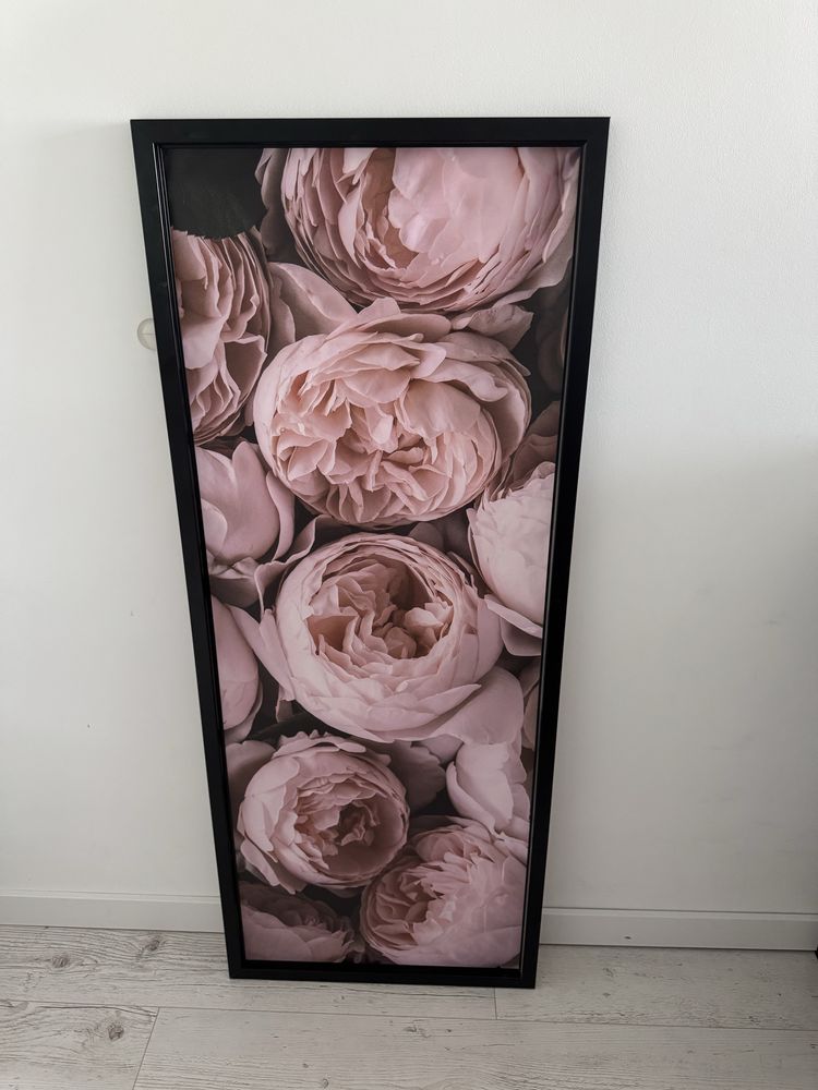 Obraz ikea bjorksta piwonie peonie kwiaty