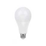 Żarówka LED Diall A67 22 W E27 2452 lm 2700 K matowa
