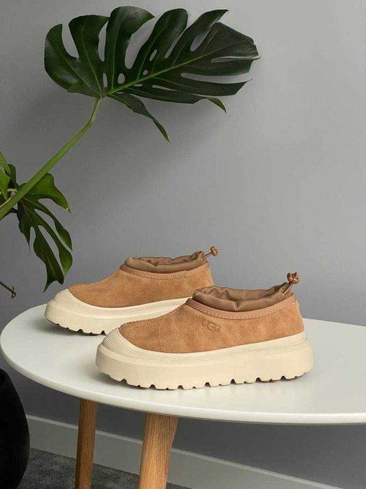 Тапочки унісекс UGG Tasman Hybrid 36-45 Новинка!