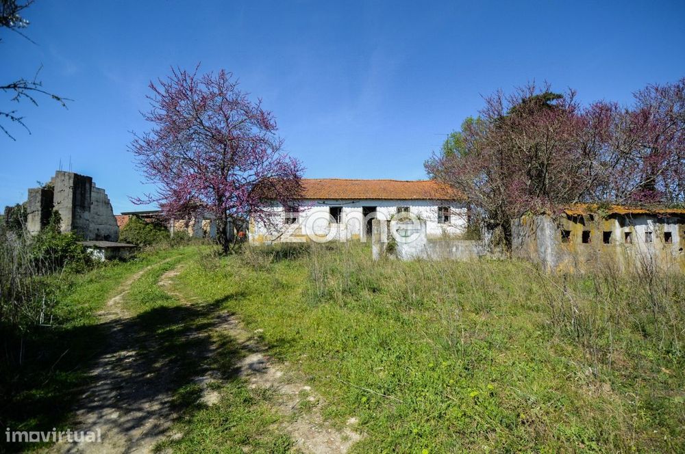 Quinta 19 hectares Rio Maior, Santarém