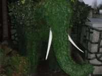 ozdoba ogrod dekoracja słon
