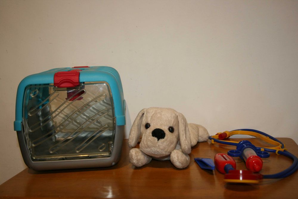 Kit Veterinário SuperToys