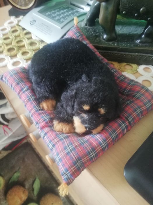 Pluszaczek śpiący na poduszce piesek.