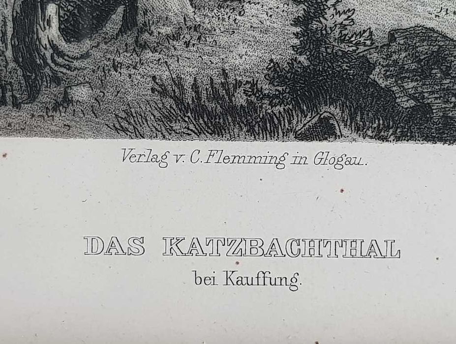 Staloryt z 1880 roku autorstwa Hubera - Wojcieszów - Dolny Śląsk