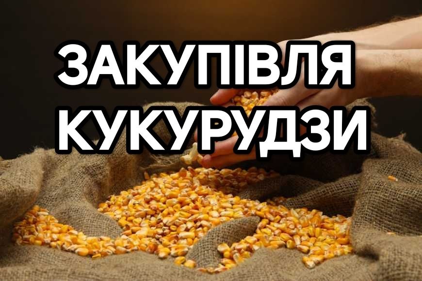 Кукурудза зерно кукурудза