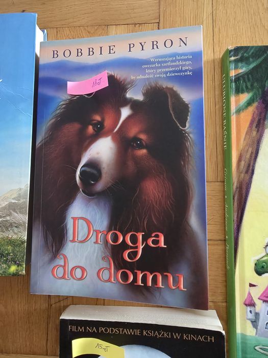 Książki młodzieżowe , Hobbit , baśnie, Biblia i inne