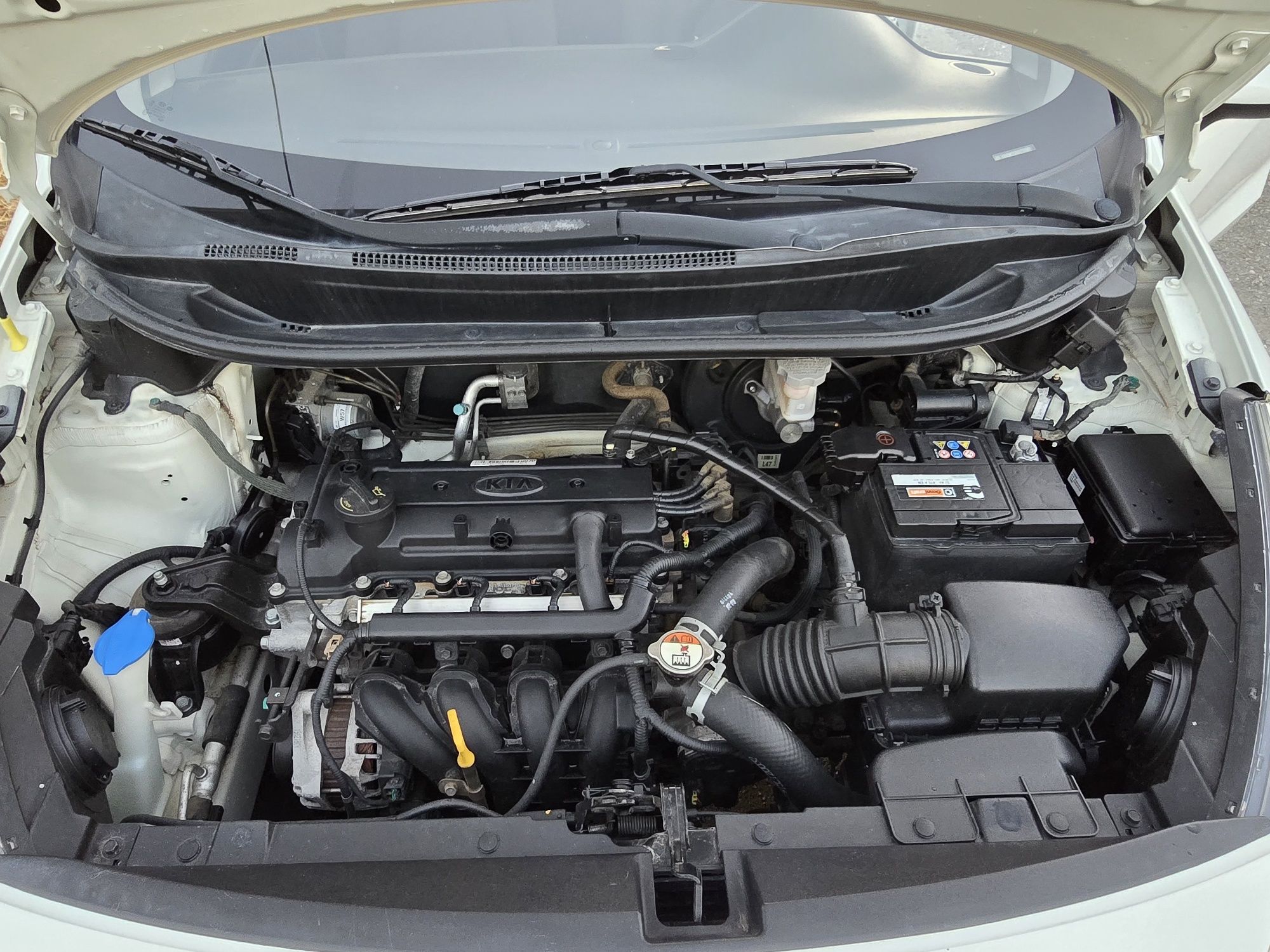 KIA RIO 1.2 CVVT 84CV