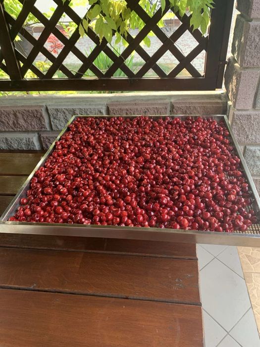 Вишня сушена(вялена)