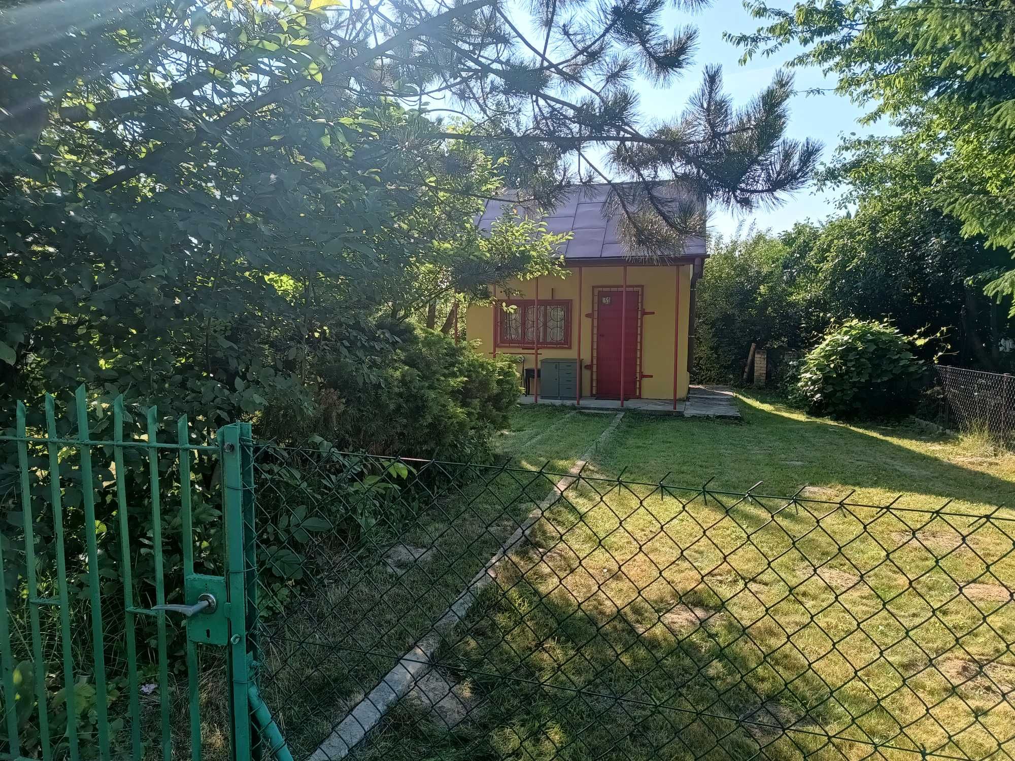 Działka ROD Stary Gaj obok lasu, niedaleko Zalewu Zemborzyckiego