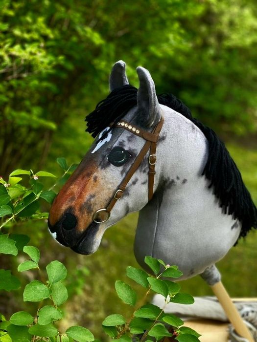 Hobby horse finland Nw