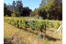 Terreno  para venda