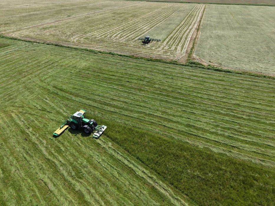 Siano PREMIUM 2025 | Certyfikat EKO | Gwarancja BEZ PLEŚNI | Badania