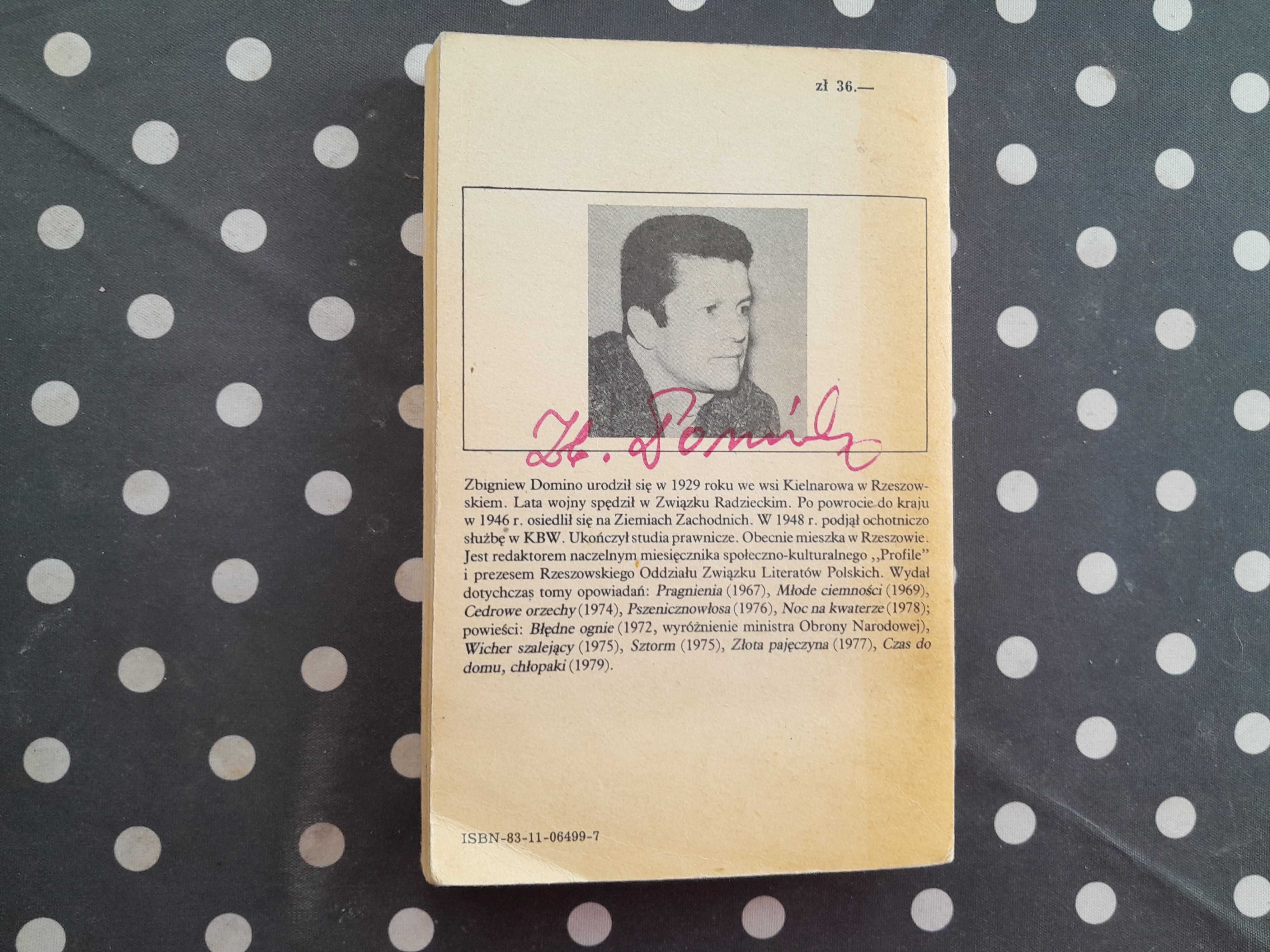 Błędne ognie Zbigniew Domino