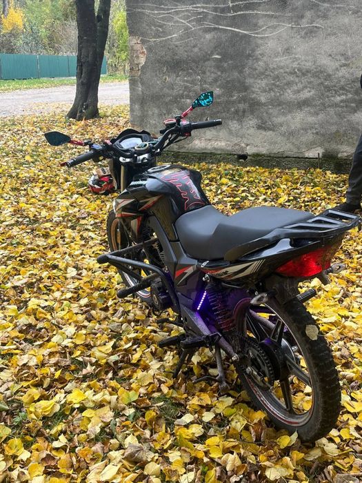 Musstang Fortune 200