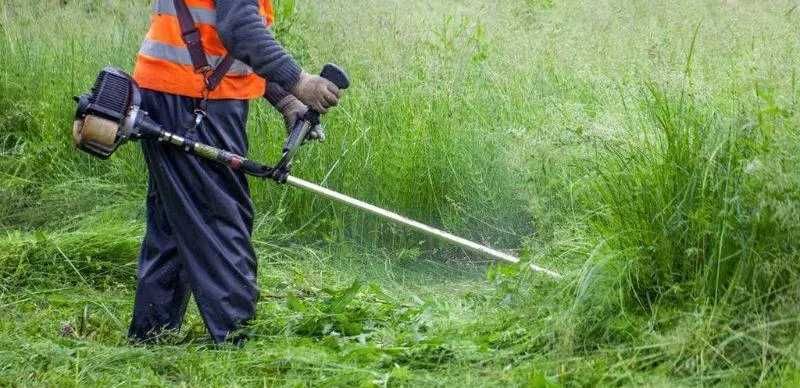 Czyszczenie działek, kostki, wycinka krzewów, koszenie wysokiej trawy