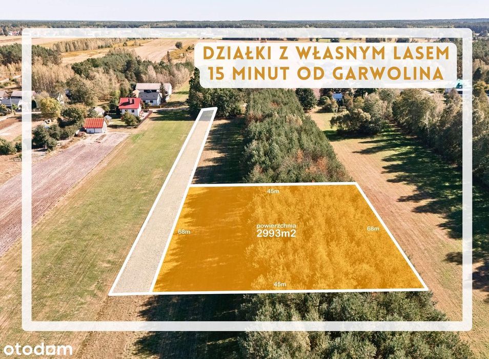 Duże działki w spokojnej okolicy z możliwością zabudowy + prywatny las