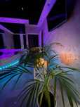 Apartament Chill na Mazurach z jacuzzi na wyłączność