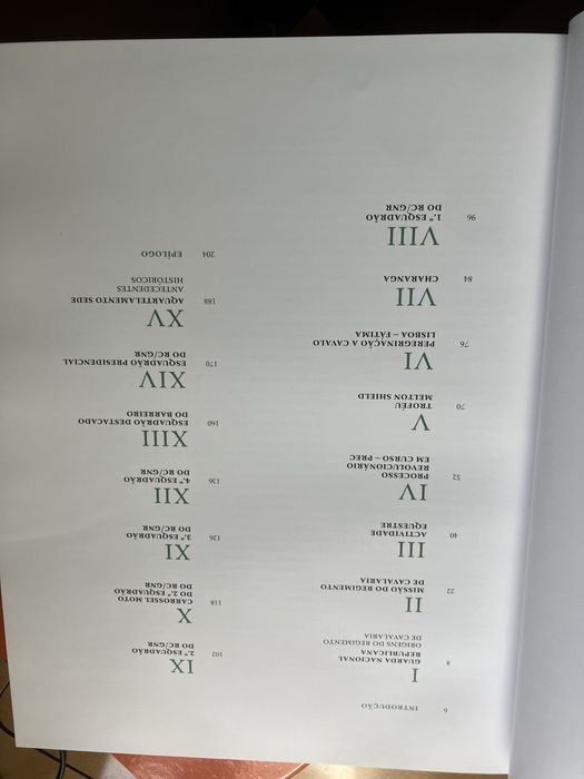 O Ultimo regimento a cavalo emPortugal