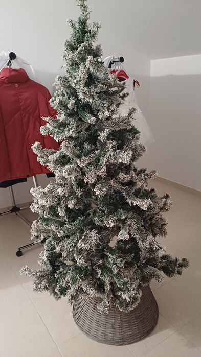 Árvore de Natal  nova