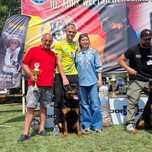 Rottweiler ZKwP/FCI - Samiec - Rezerwacja