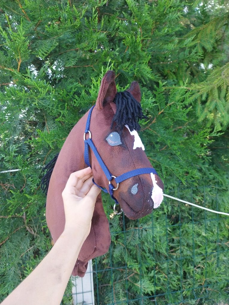 Hobby horse skokowy