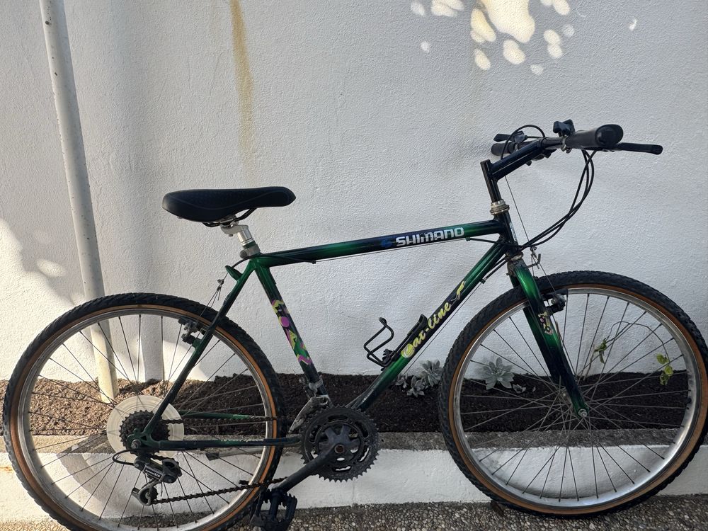 Bicicleta adulto