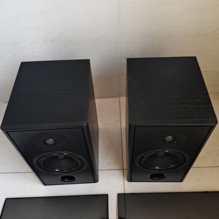 Акустика CANTON Nestor 452 hi-fi колонки твитер динамик динамик
