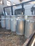 Vende-se 7 bilhas do leite de 50L
