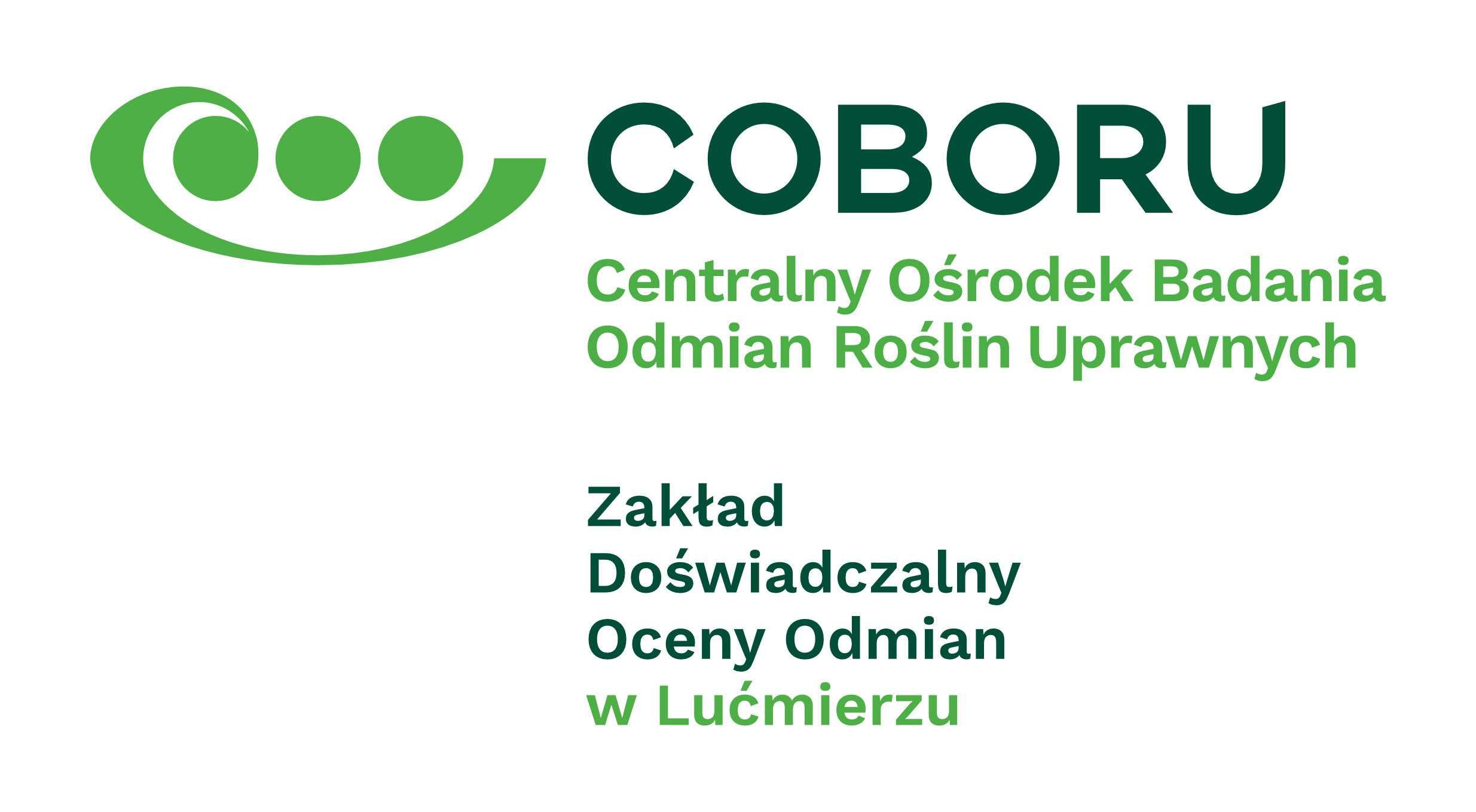 łubin, groch, soja, rzepak (poplon, pasza)