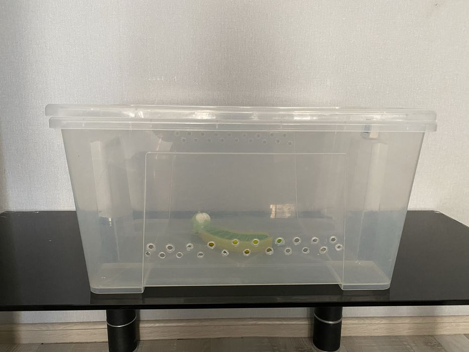 Контейнер террариум для рептилий , улиток, черепах