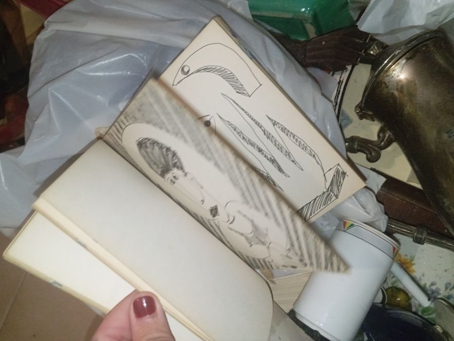 Desenho s do Fernando Jorge com defeito. A capa e bloco