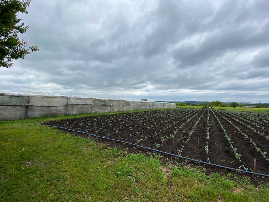 Продам заміський будинок з великим фермерським господарством