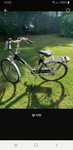 Rower damski Gazelle