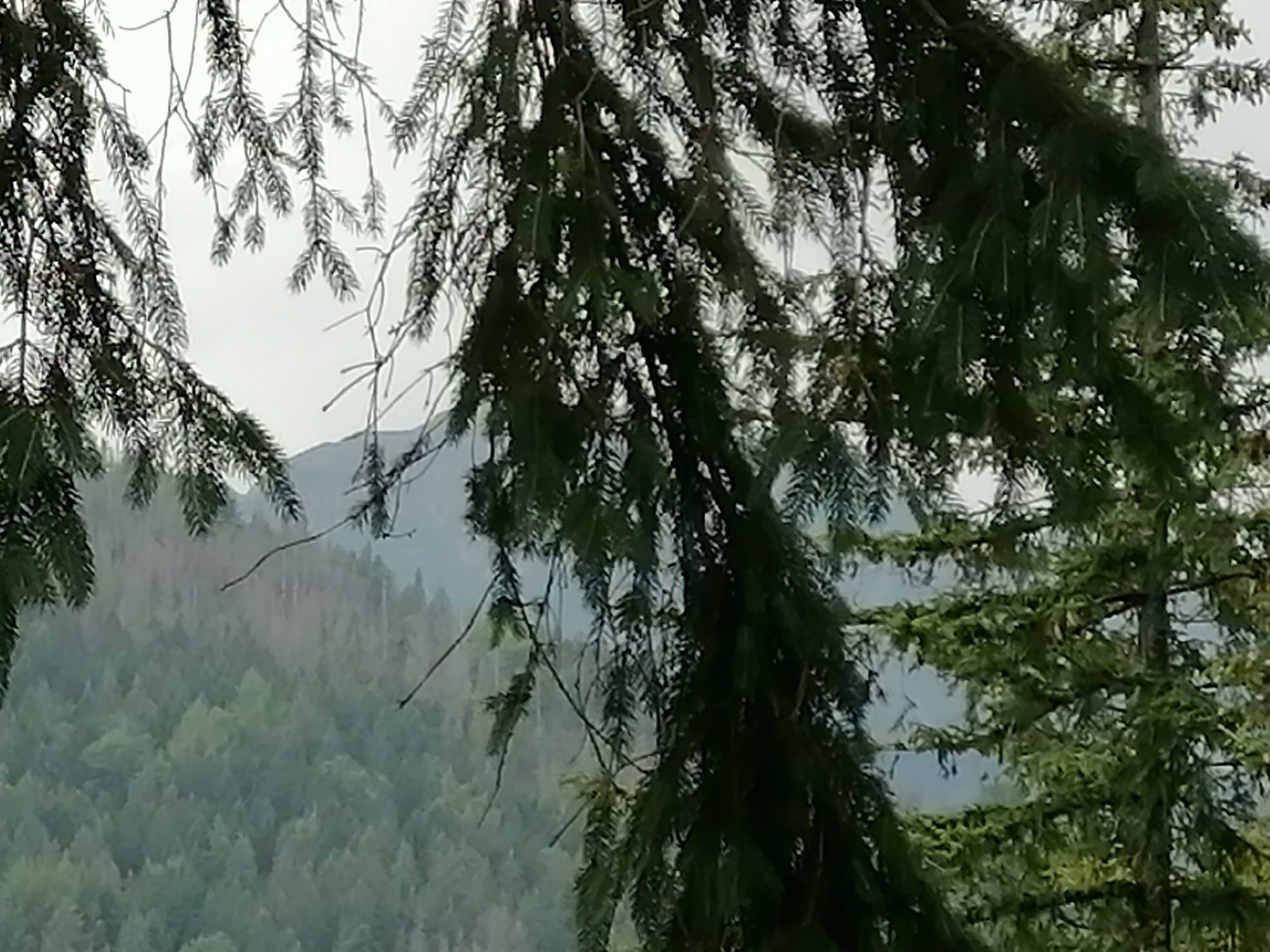 Zakopane centrum!8 min.Krupówki,300m skocznia,szlaki turystyczne