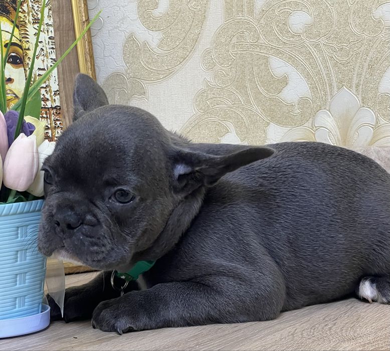 Хлопчик і дівчинка