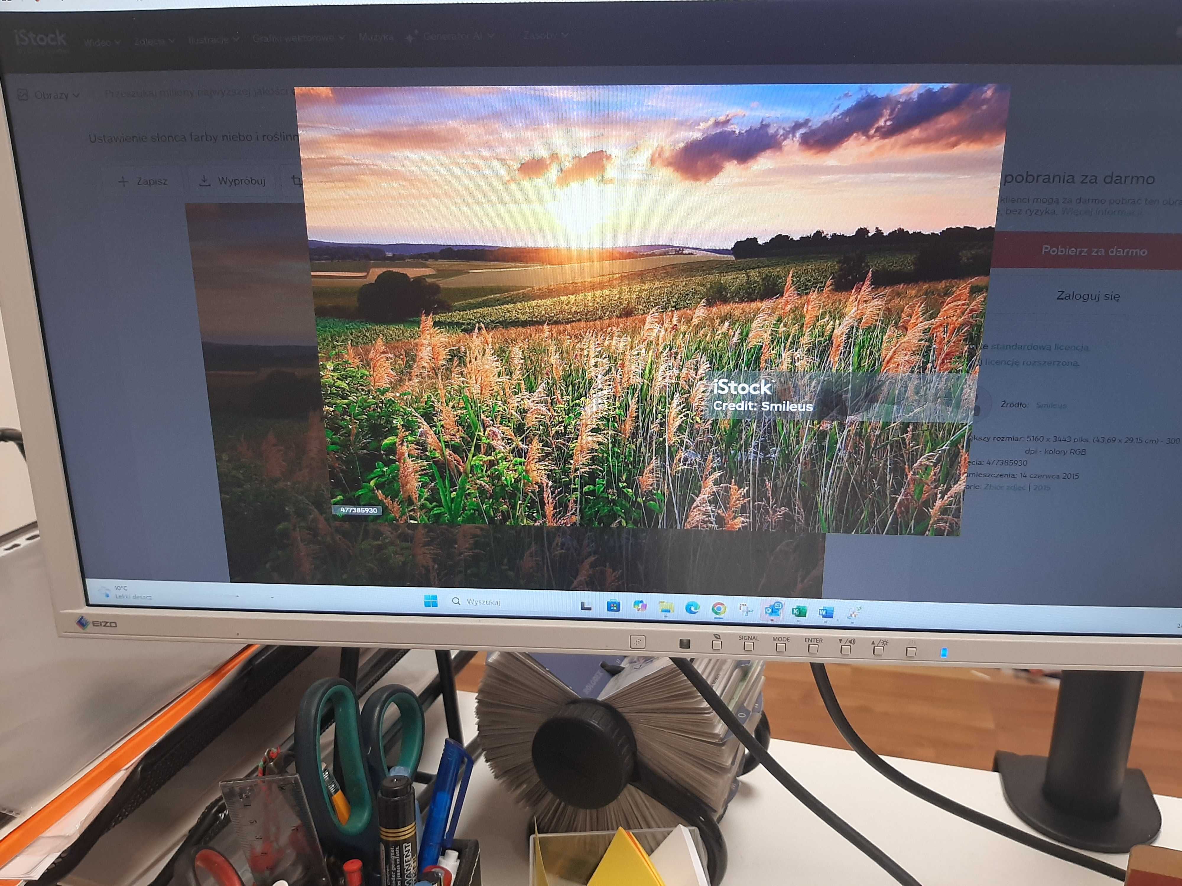 Monitor EIZO FlexScan EV2316W