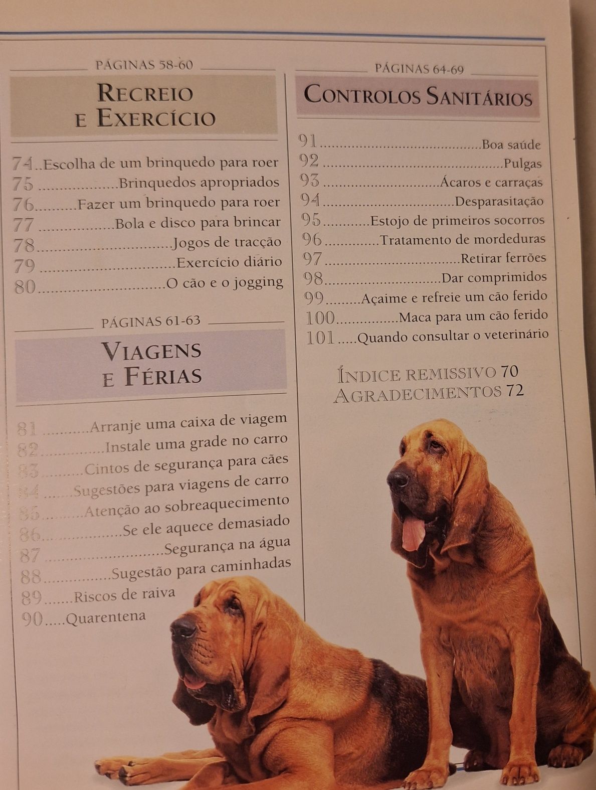 Livro- cuidar do cão,  101 sugestões