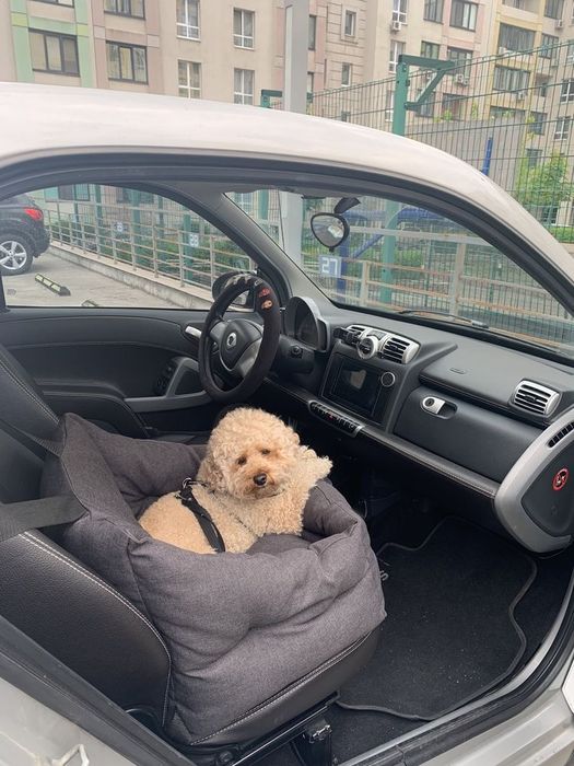 Автокрісла для собак