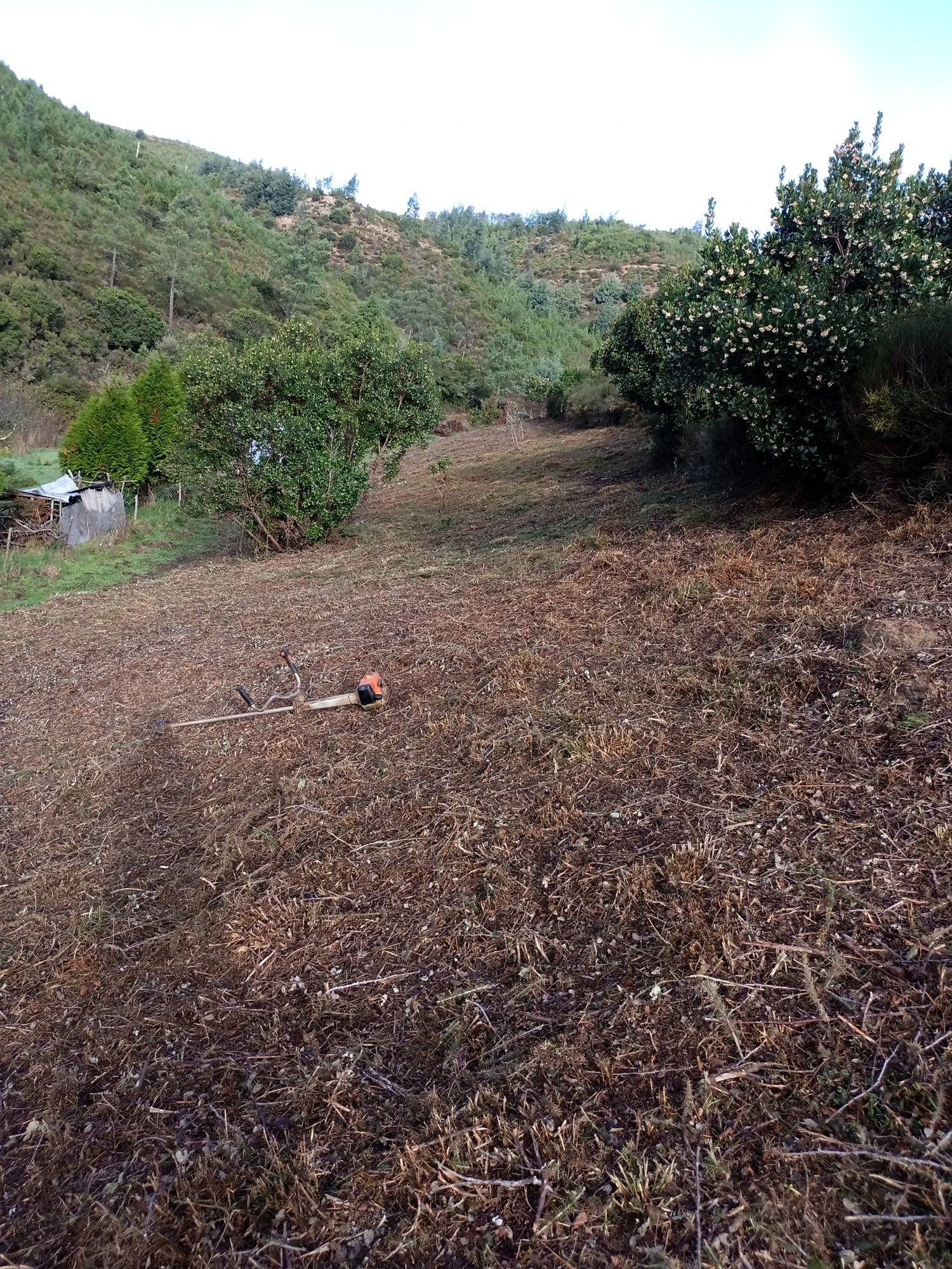 Limpezas de terrenos