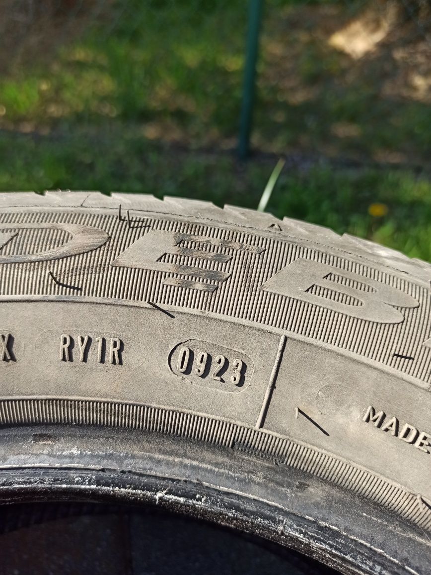 Dębica Navigator 3 175/65 R14 2023r. (Wielosezonowe)